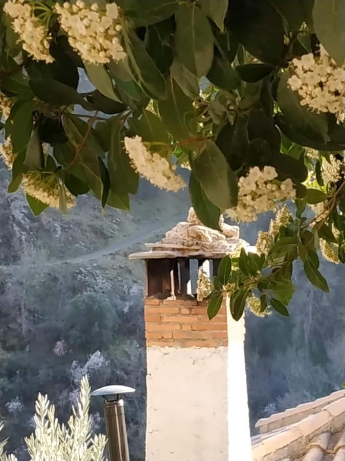 Cortijo La Solana Guest House Guejar Sierra Exterior photo